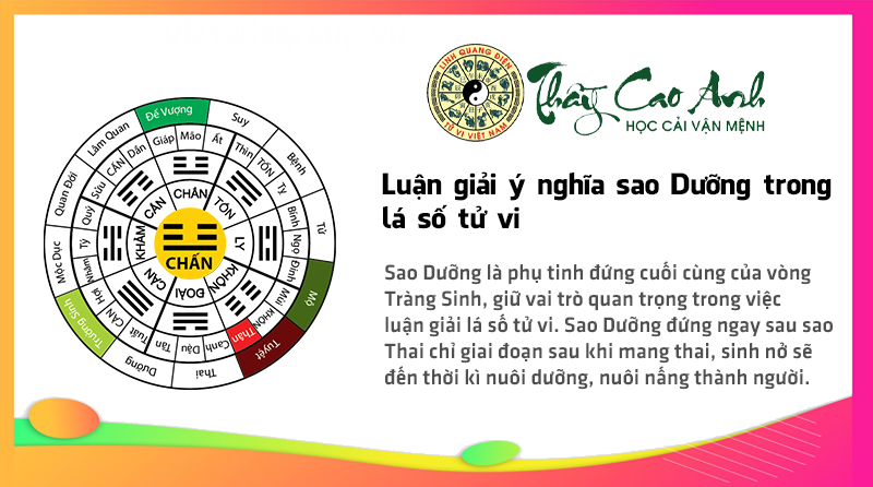 Luận giải ý nghĩa sao Dưỡng trong lá số tử vi