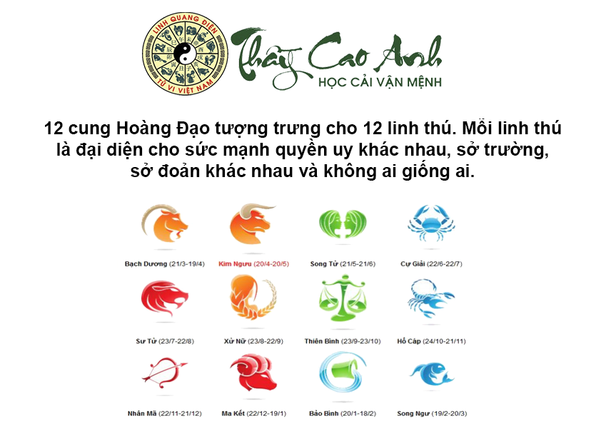 Xem tử vi 12 cung Hoàng Đạo nhanh chóng và chính xác