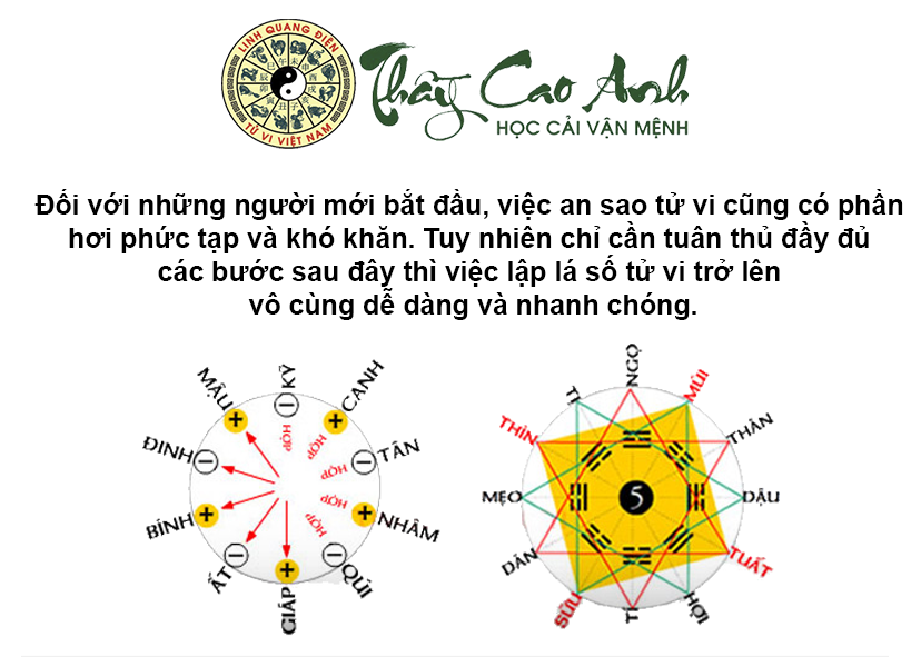 Hướng dẫn an sao tử vi cho người mới bắt đầu