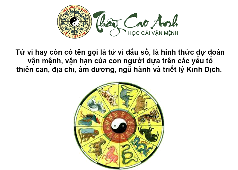 Tử vi là gì và xem tử vi ở đâu nghiệm lý tốt
