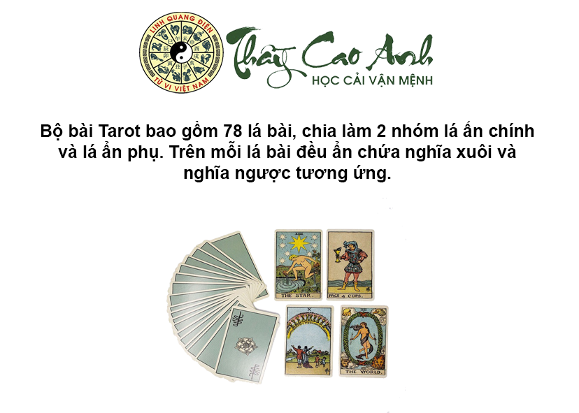 Hướng dẫn xem bói bài Tarot cho người mới bắt đầu