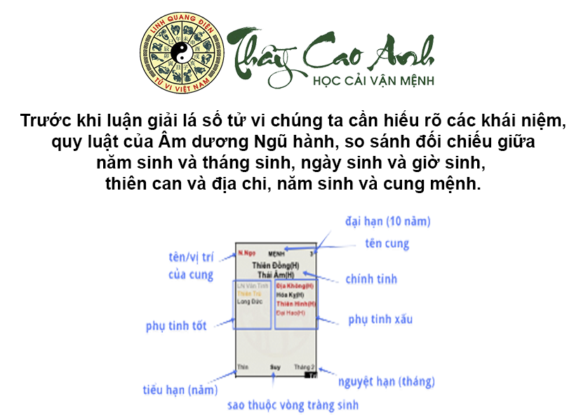 Hướng dẫn cách đọc Cục và Mệnh trong lá số tử vi