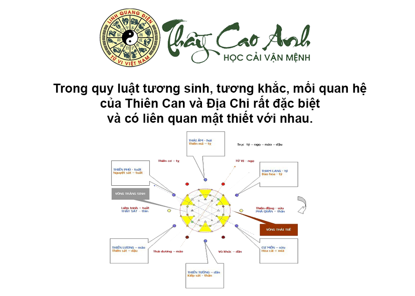 Hướng dẫn cách đọc Cục và Mệnh trong lá số tử vi