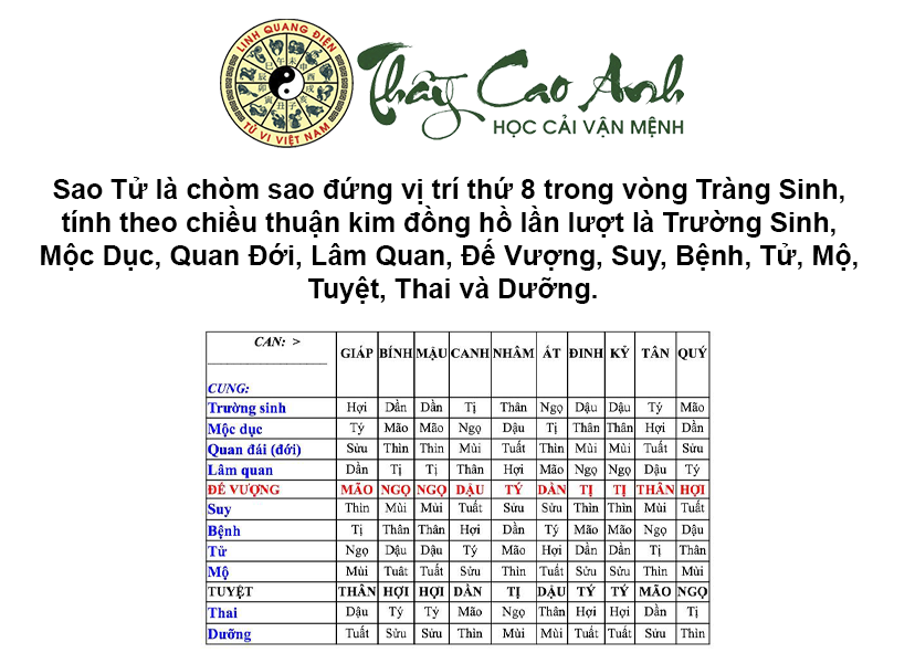 Luận giải ý nghĩa sao Tử trong lá số tử vi