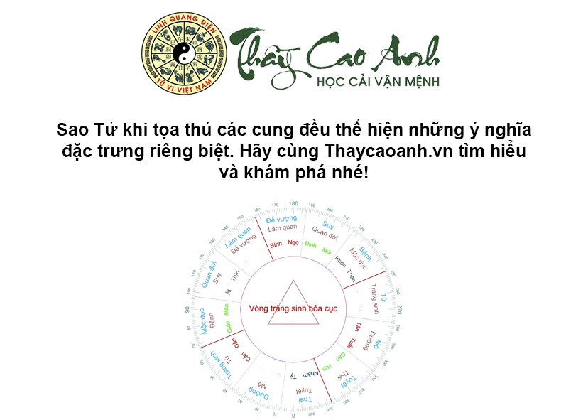 Luận giải ý nghĩa sao Tử trong lá số tử vi