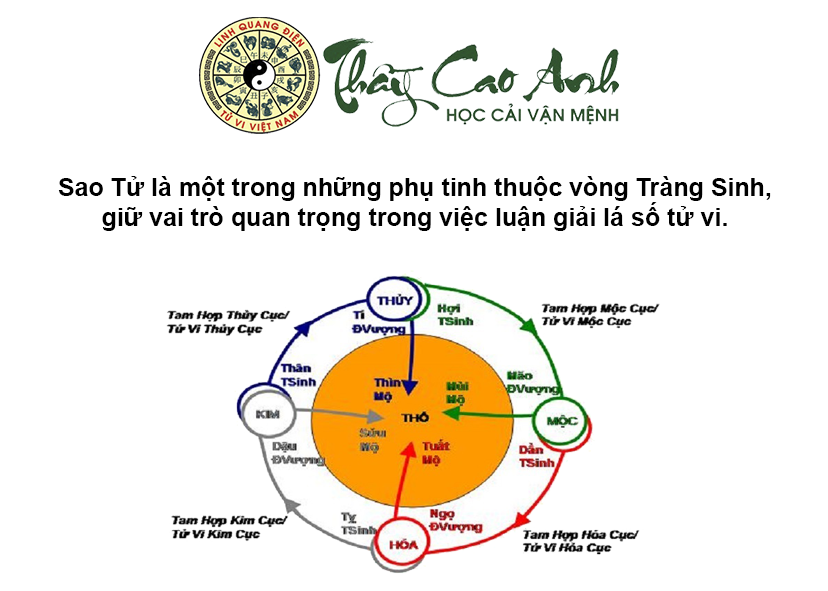 Luận giải ý nghĩa sao Tử trong lá số tử vi