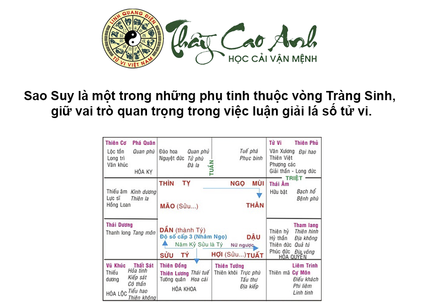 Luận giải ý nghĩa sao Suy trong lá số tử vi