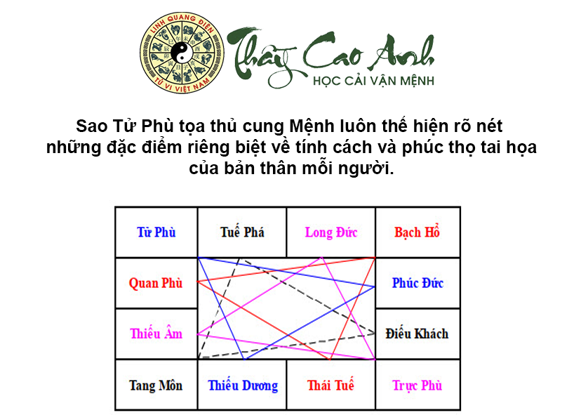 Luận giải sao Tử Phù trong lá số tử vi
