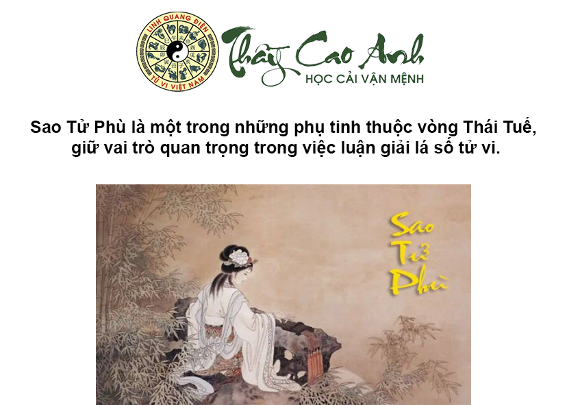 Luận giải sao Tử Phù trong lá số tử vi