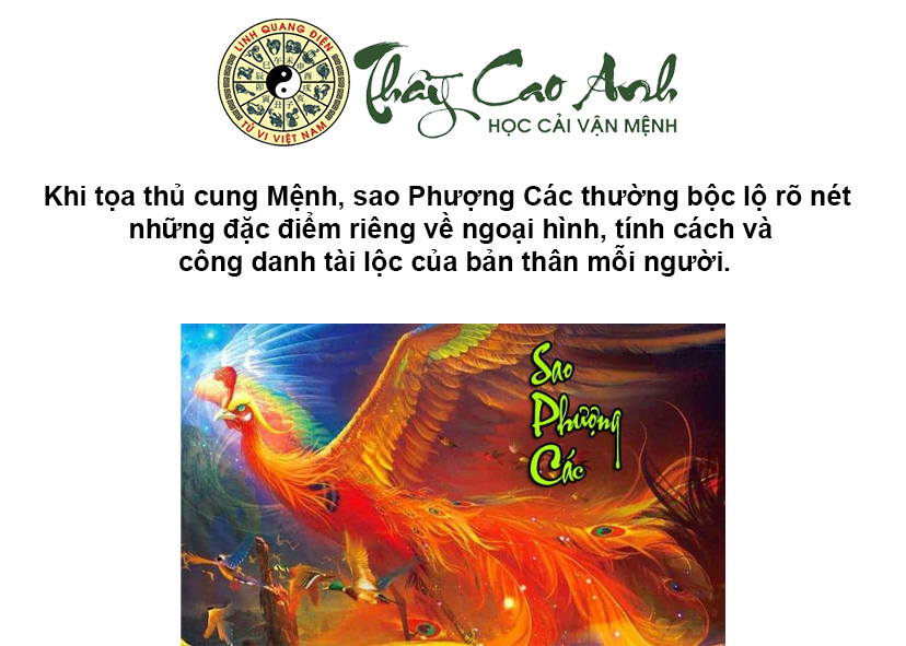 Luận giải sao Phượng Các trong lá số tử vi