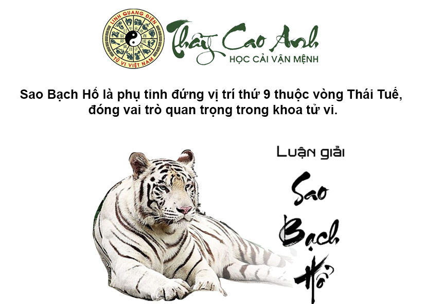 Luận giải sao Bạch Hổ trong lá số tử vi
