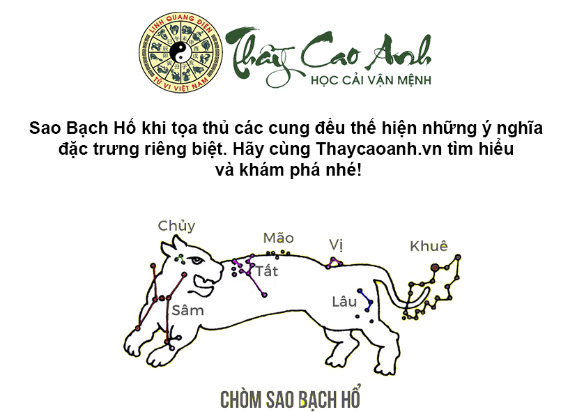 Luận giải sao Bạch Hổ trong lá số tử vi