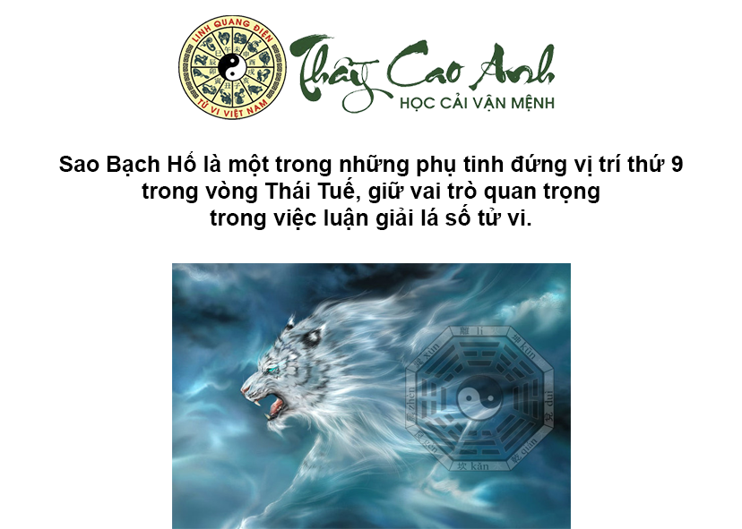 Luận giải sao Bạch Hổ trong lá số tử vi
