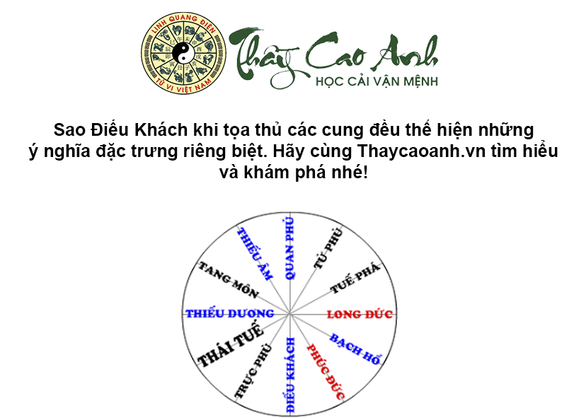 Luận giải sao Điếu Khách trong lá số tử vi