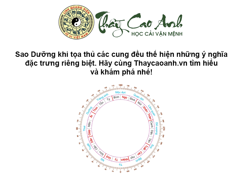 Luận giải ý nghĩa sao Dưỡng trong lá số tử vi