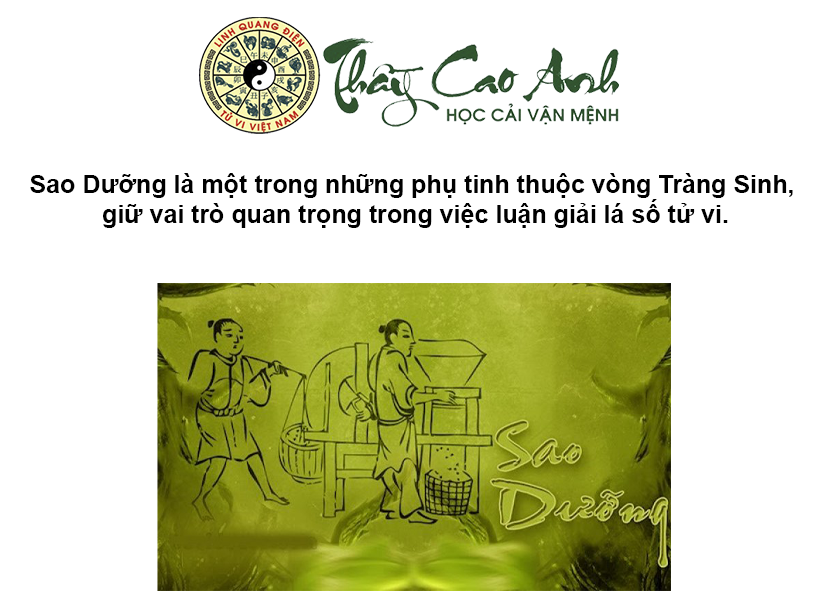 Luận giải ý nghĩa sao Dưỡng trong lá số tử vi