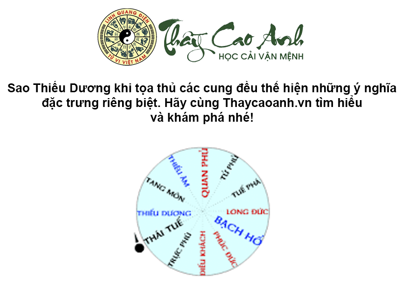Luận giải sao Thiếu Dương trong lá số tử vi
