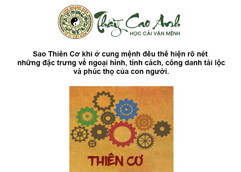 Luận giải sao Thiên Cơ trong lá số tử vi