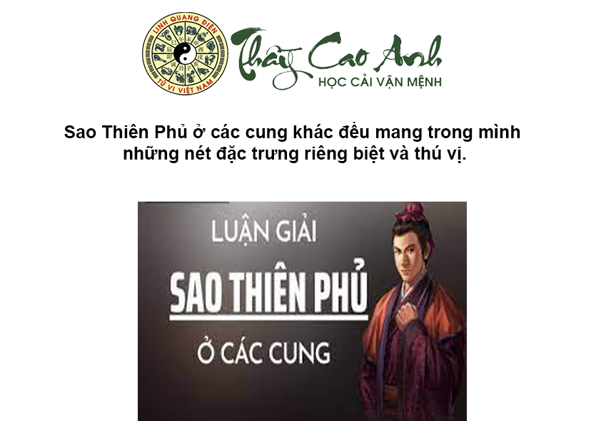 Luận giải sao Thiên Phủ trong lá số tử vi