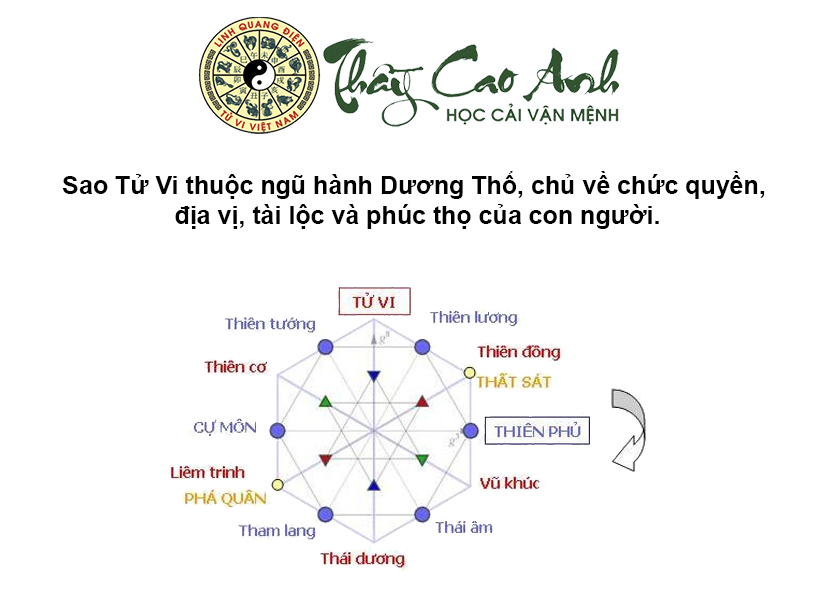 Luận giải sao Tử Vi trong lá số tử vi