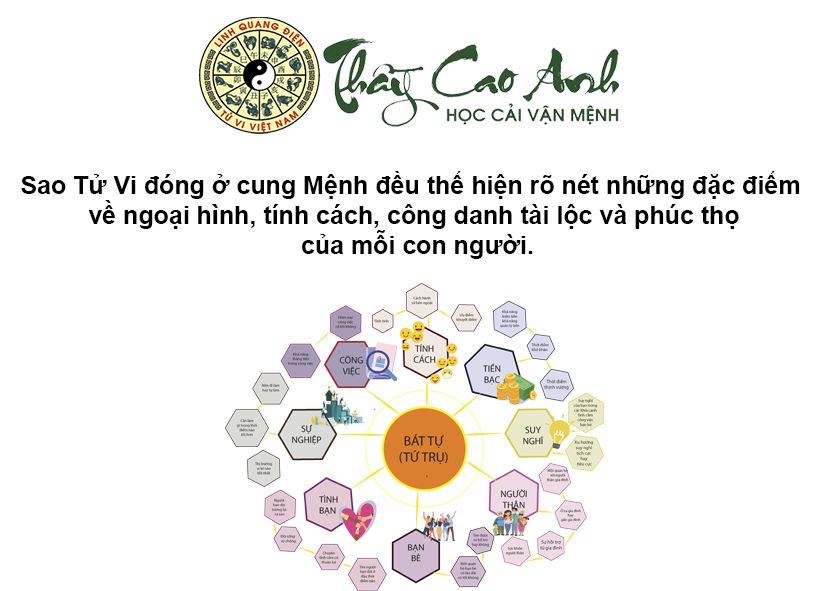 Luận giải sao Tử Vi trong lá số tử vi