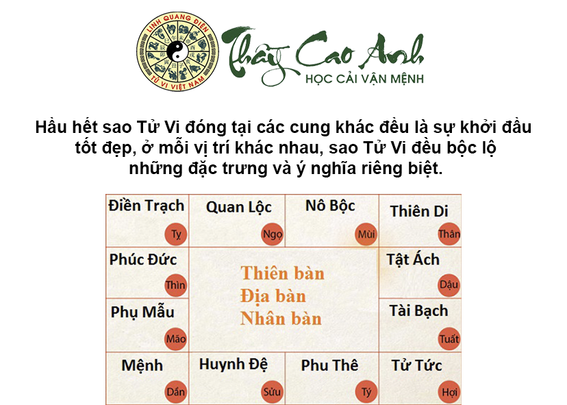 Luận giải sao Tử Vi trong lá số tử vi