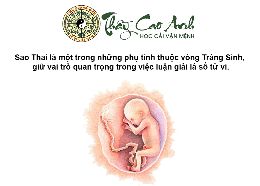 Luận giải ý nghĩa sao Thai trong lá số tử vi