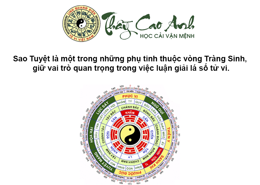 Luận giải ý nghĩa sao Tuyệt trong lá số tử vi