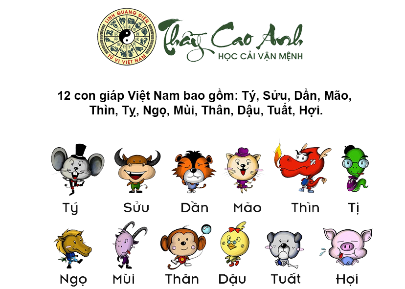 Xem tử vi 12 con giáp nhanh chóng và chính xác
