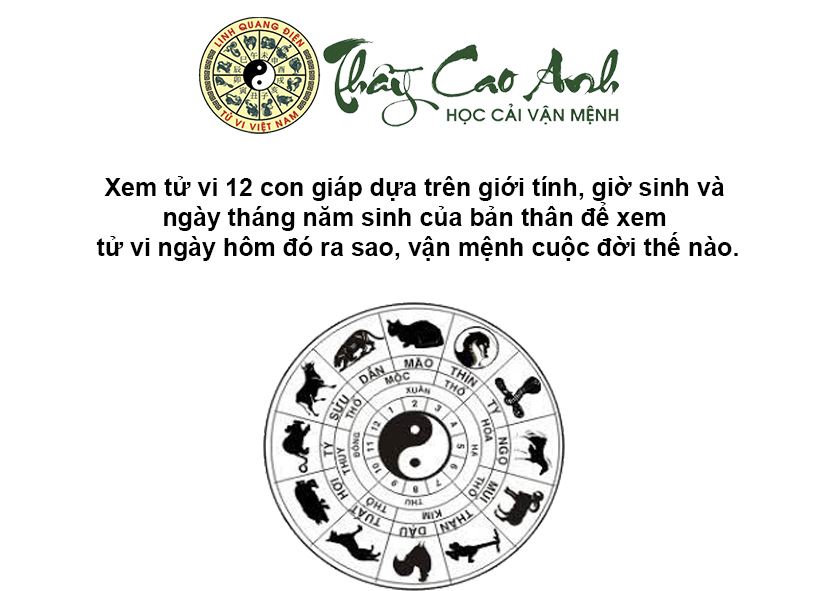Xem tử vi 12 con giáp nhanh chóng và chính xác