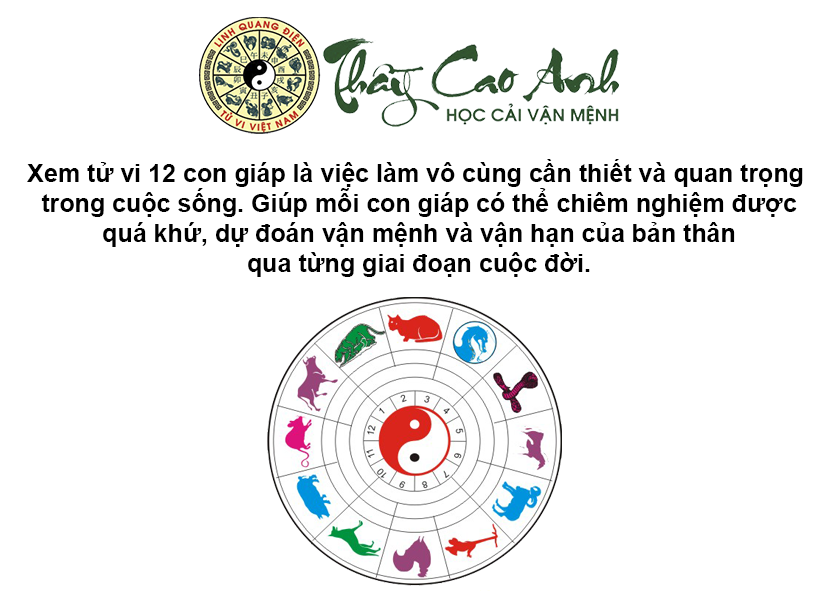 Xem tử vi 12 con giáp nhanh chóng và chính xác