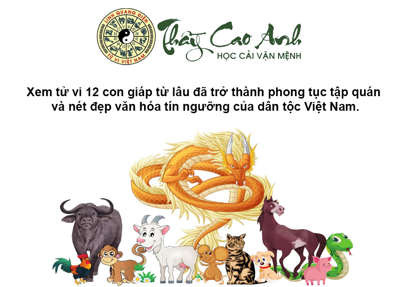 Xem tử vi 12 con giáp nhanh chóng và chính xác