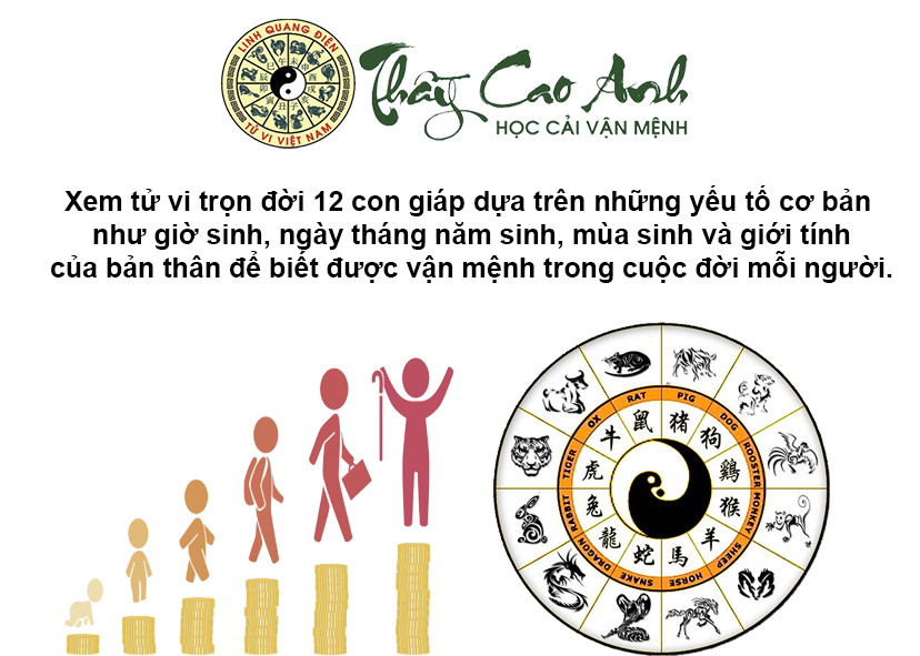 Xem tử vi trọn đời của 12 con giáp chính xác nhất
